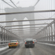 Illustration for article titled Riding New York In The Snow